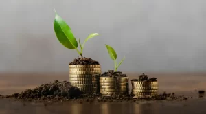 Cultivate Alternate Revenue Streams for income growth - Mista infra blog